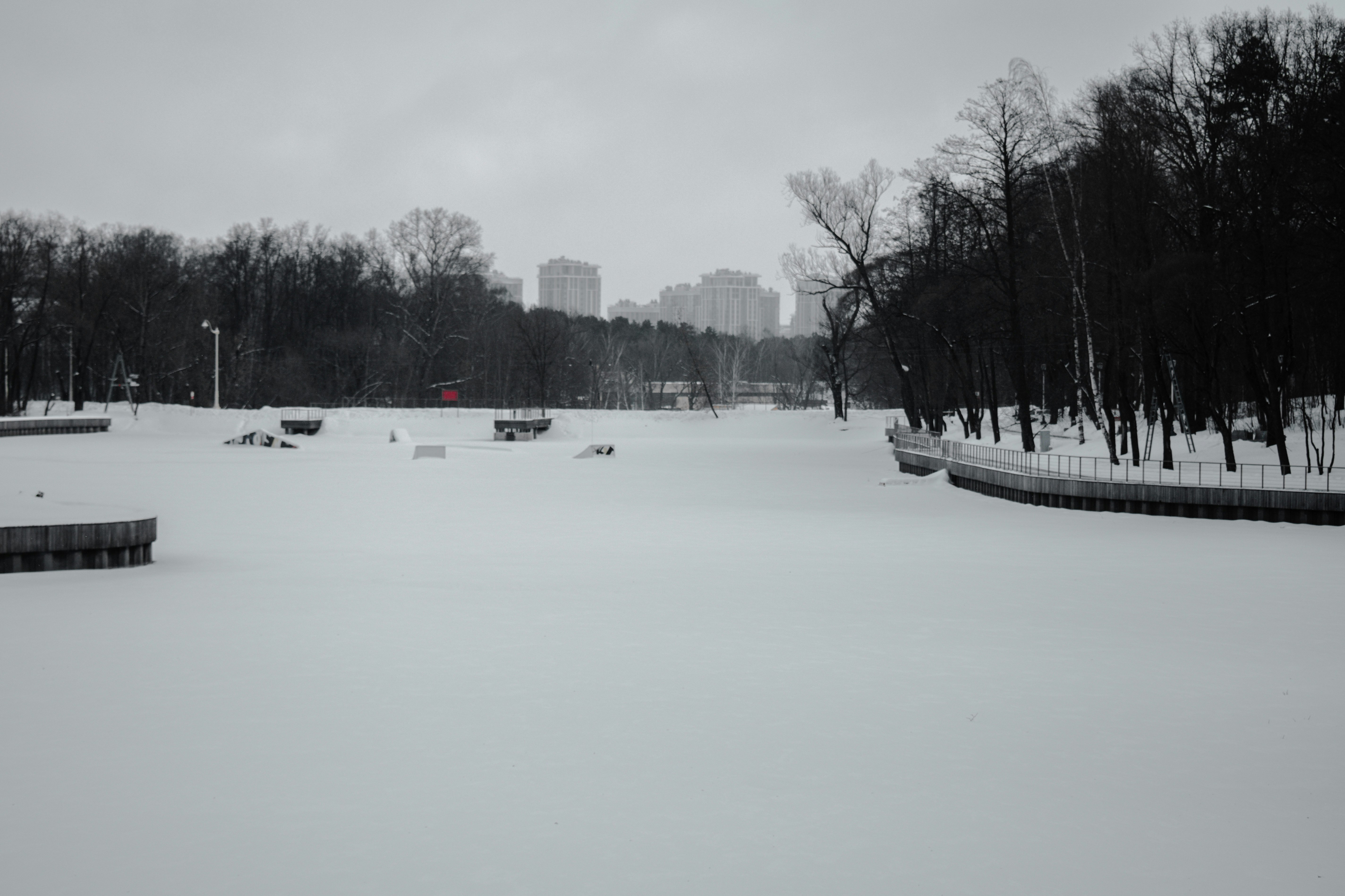 snow covered field and trees during daytime